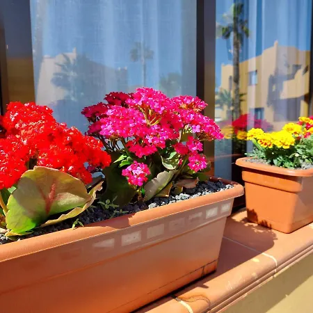 Apartament Casa Ledu - Sunny In Fuerteventura