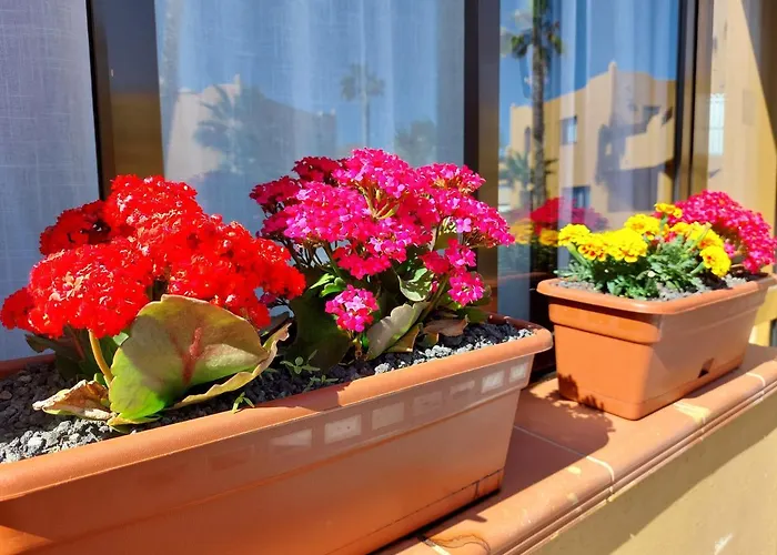 Apartamento Casa Ledu - Sunny In Fuerteventura