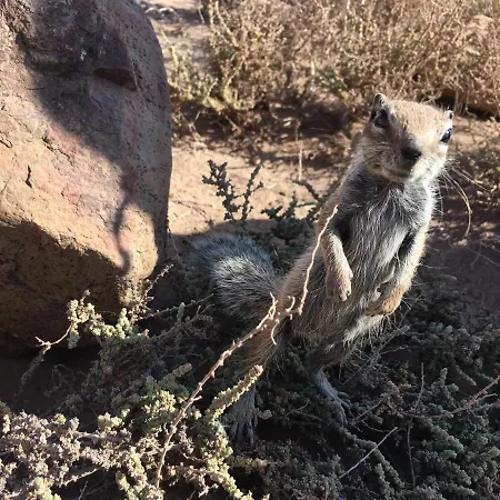 Casa Ledù - Sunny In Fuerteventura Appartamento